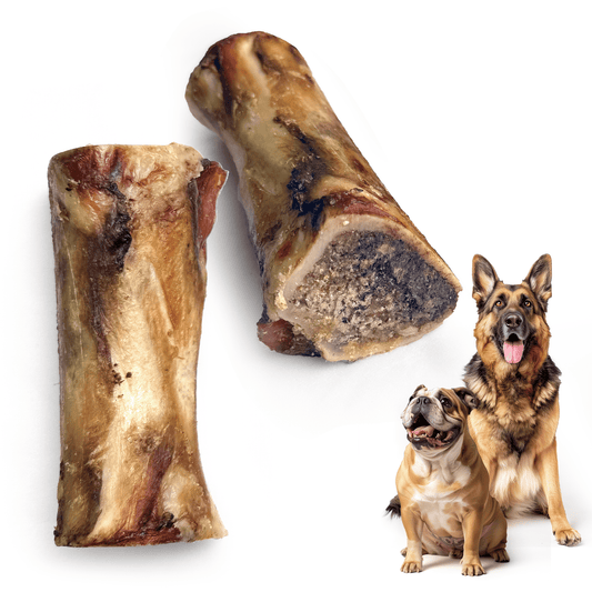 Beef Marrow Bone - Premium Feeders - Premium Feeders - Dog Treats