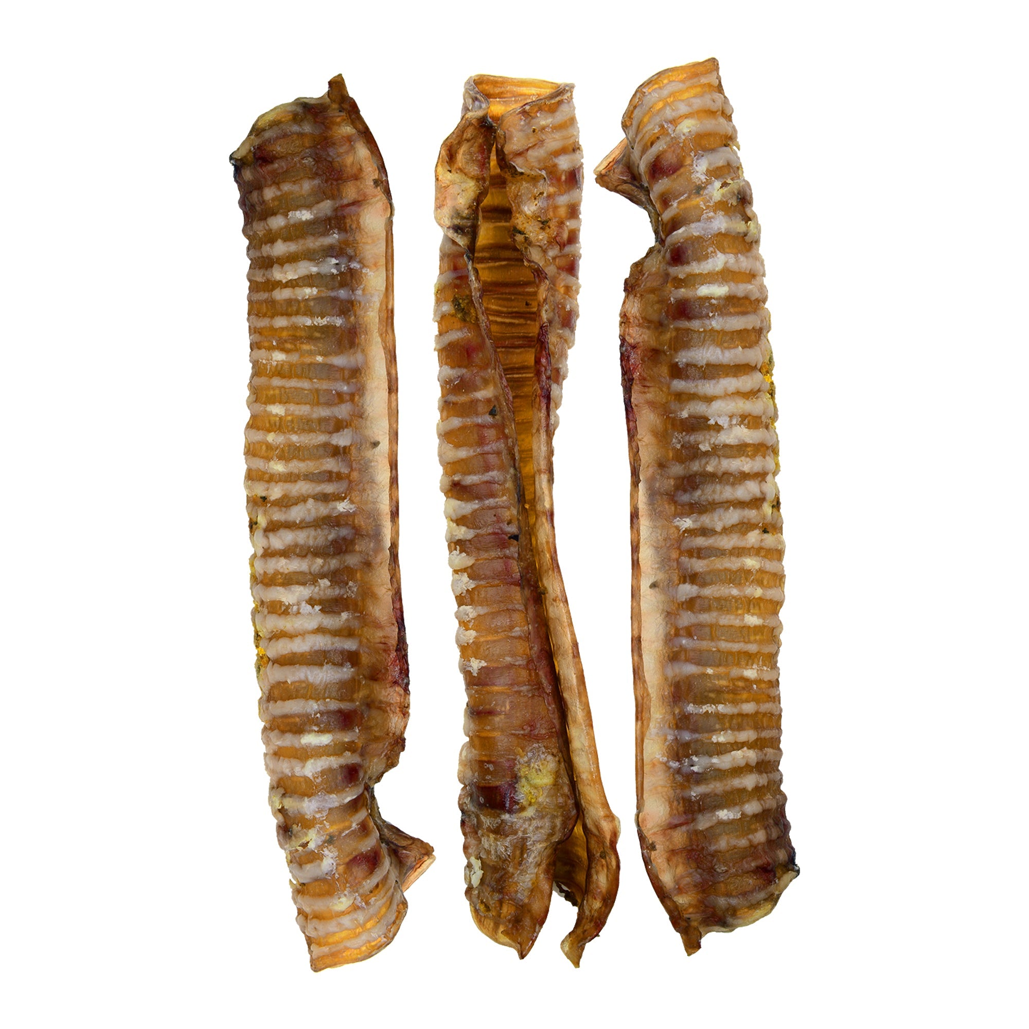 Beef Trachea - Premium Feeders - Premium Feeders - Dog Treats