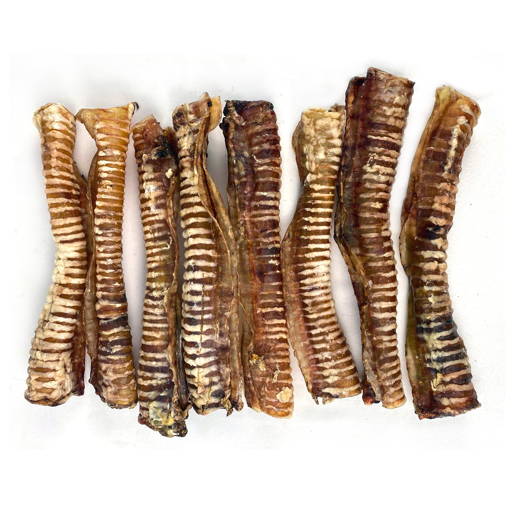 Beef Trachea - Premium Feeders - Premium Feeders - Dog Treats