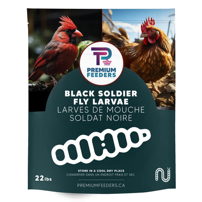 Dried Black Soldier Fly Larvae - 22lb - Premium Feeders - Premium Feeders - Black Soldier Fly Larvae