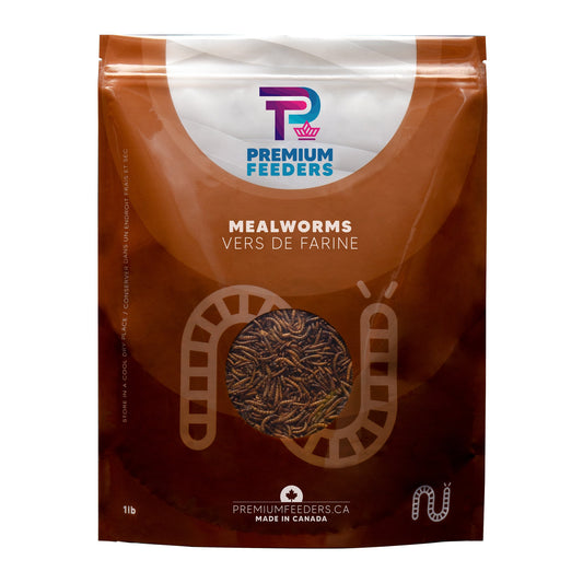 Dried Mealworms – 1lb - Premium Feeders - Premium Feeders - Mealworms