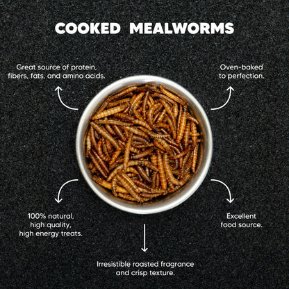 Dried Mealworms – 22lb - Premium Feeders - Premium Feeders - Mealworms