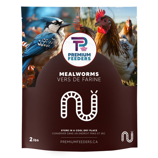 Dried Mealworms – 2lb - Premium Feeders - Premium Feeders - Mealworms