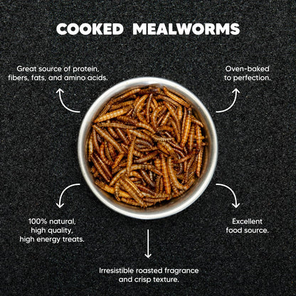 Dried Mealworms – 3lb - Premium Feeders - Premium Feeders - Mealworms