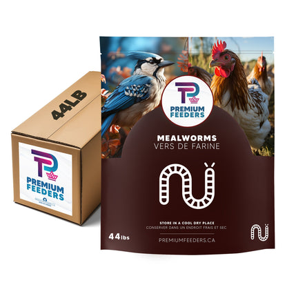 Dried Mealworms – 44lb - Premium Feeders - Premium Feeders - Mealworms