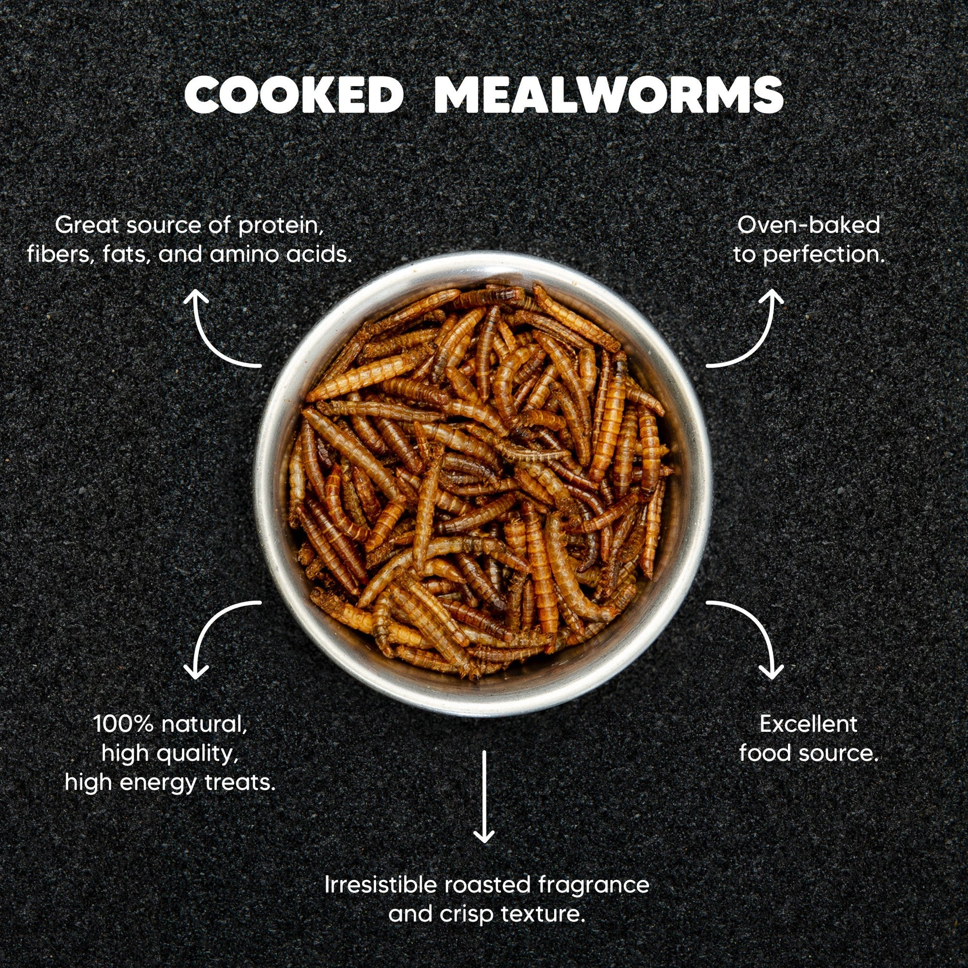 Dried Mealworms – 44lb - Premium Feeders - Premium Feeders - Mealworms