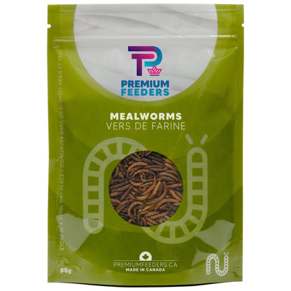 Dried Mealworms – 85g - Premium Feeders - Premium Feeders - Mealworms