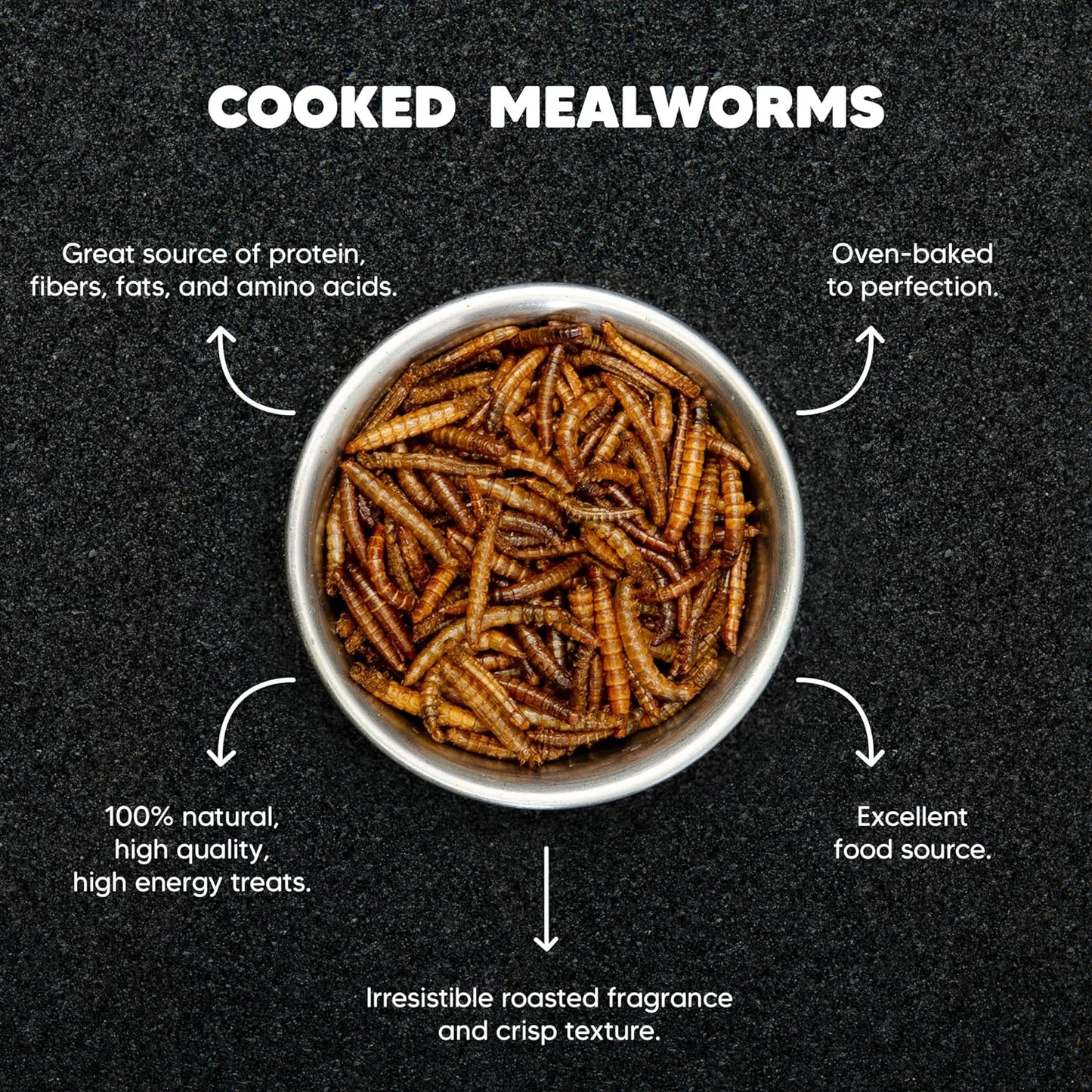 Dried Mealworms – 85g - Premium Feeders - Premium Feeders - Mealworms