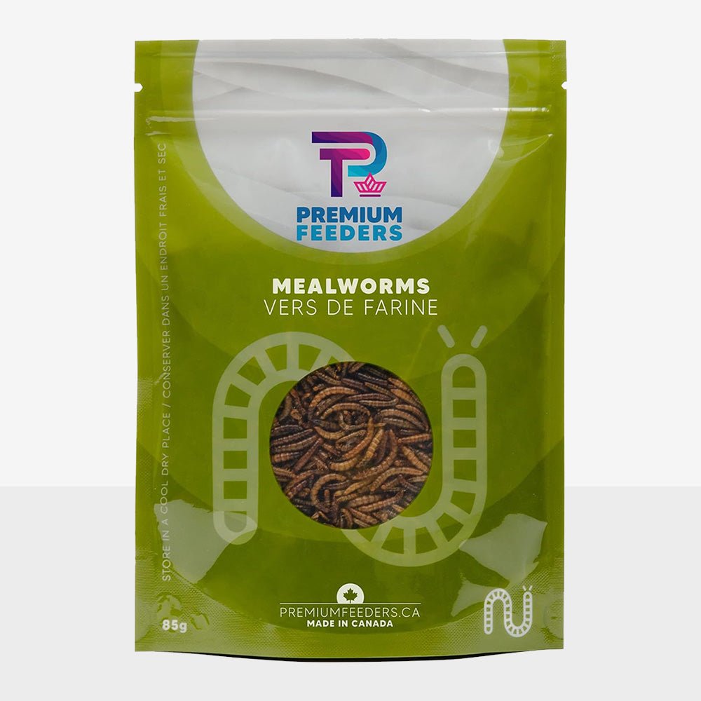 Dried Mealworms – 85g - Premium Feeders - Premium Feeders - Mealworms