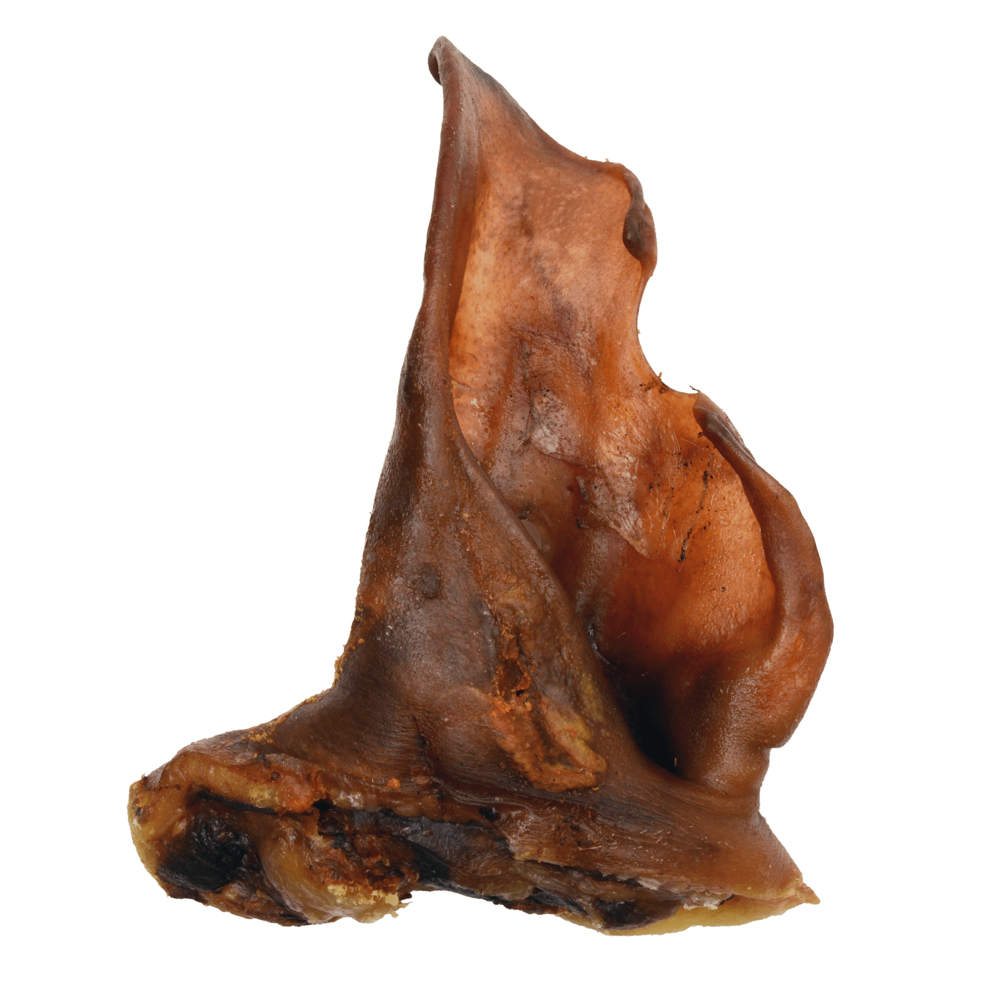 Pig Ear - Jumbo - Premium Feeders - Premium Feeders - Dog Treats