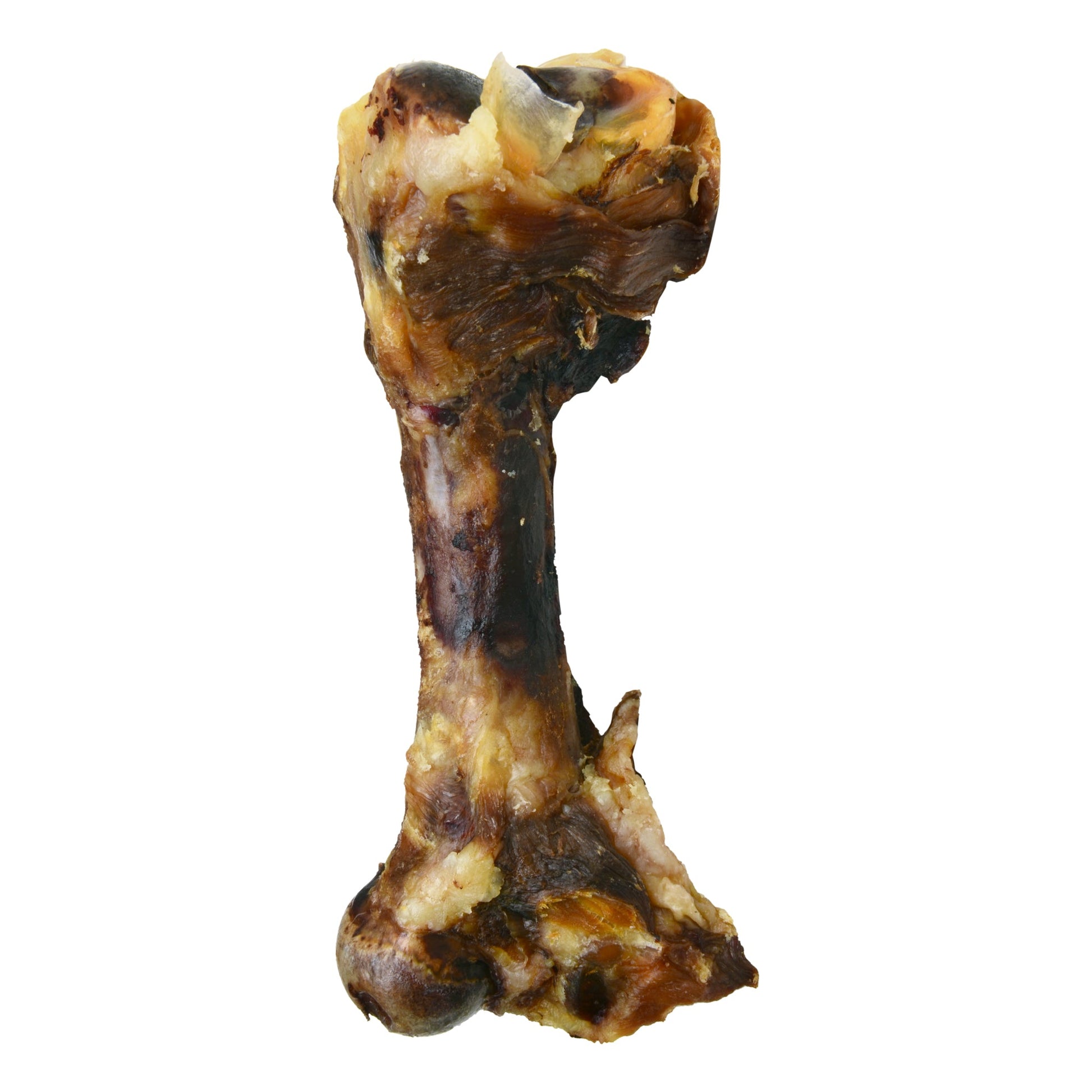 Pork Femur - Premium Feeders - Premium Feeders - Dog Treats