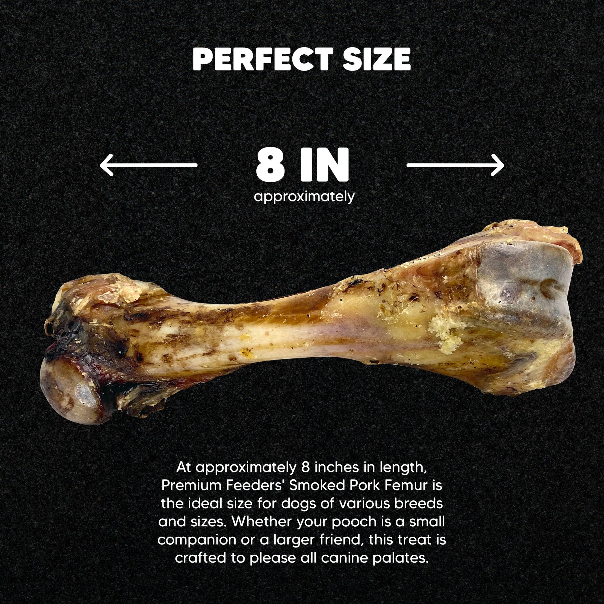 Pork Femur - Premium Feeders - Premium Feeders - Dog Treats