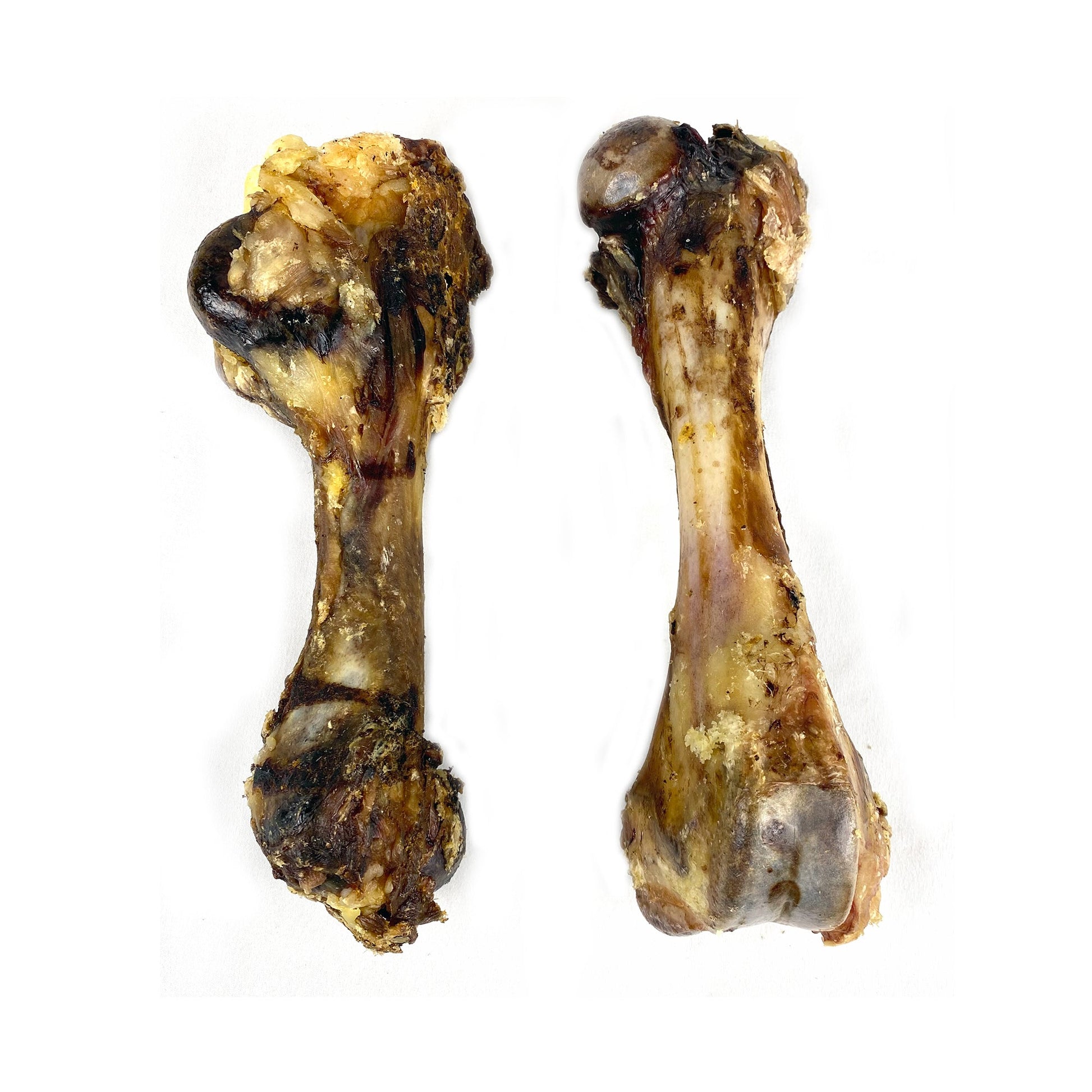 Pork Femur - Premium Feeders - Premium Feeders - Dog Treats